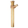 Premier 1-1/2 in. x 12 in. Hi-Way Dishwasher Tailpiece, Rough Brass 556008